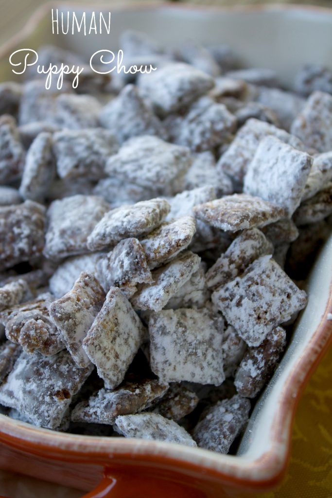 Read more about the article PUPPY CHOW CHEX MIX RECIPE FOR ANY OCCASION!