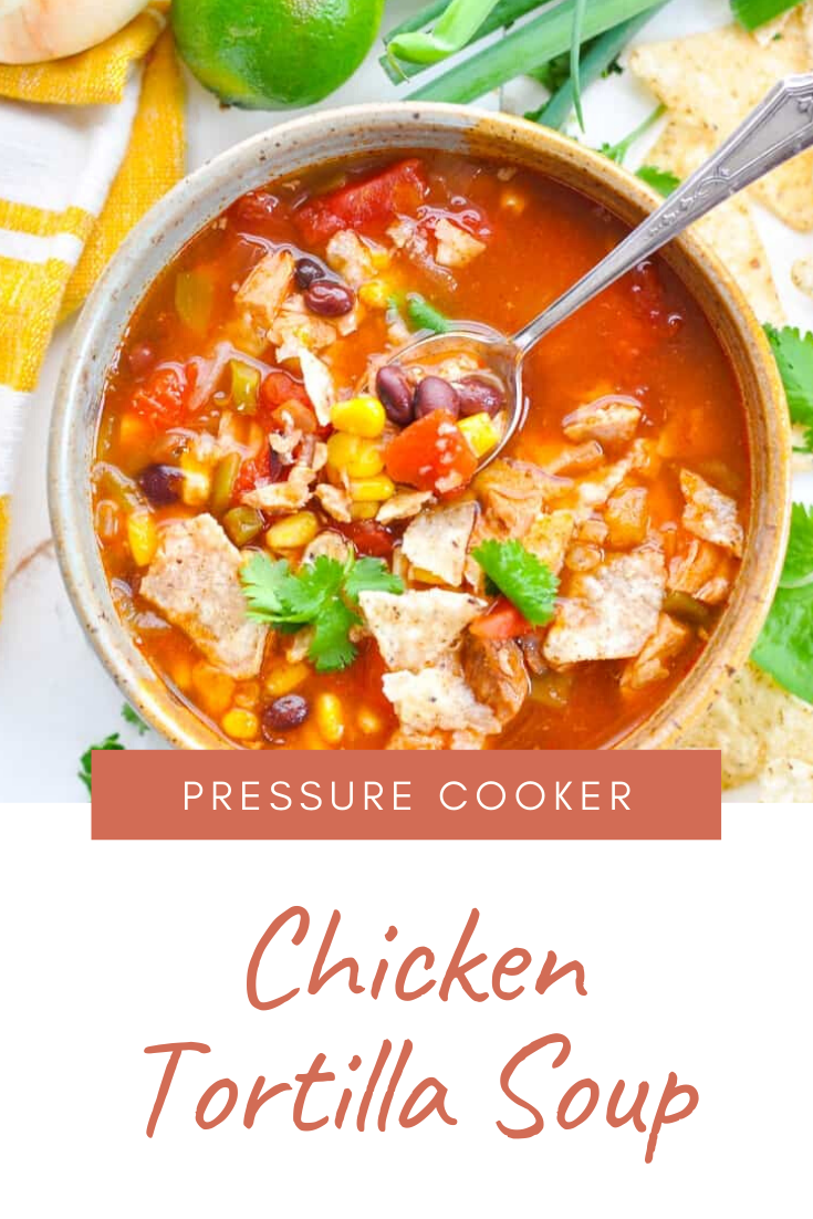 Read more about the article Pressure Cooker Chicken Tortilla Soup