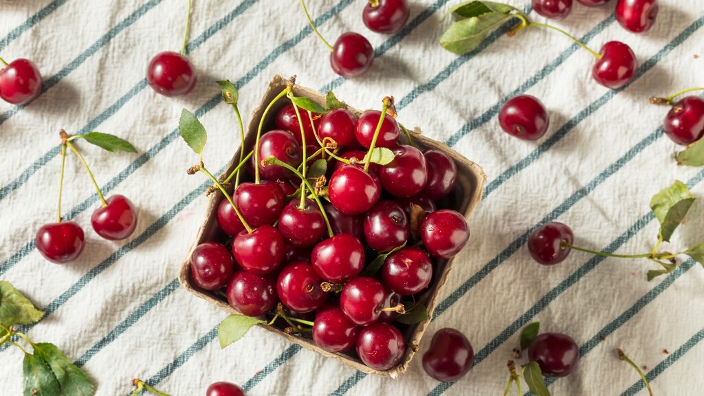 Fresh tart cherries in a cardboard basket scattered across a striped kitchen towel.