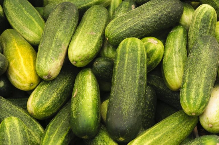 7-Day Cucumber Diet Plan to Lose Weight Fast