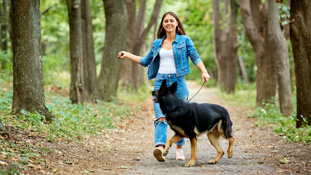 Woman walking a dog on a tree-lined path as a gentle daily movement habit.